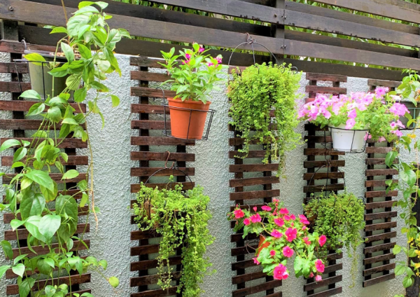 Taman Vertikal dengan Tanaman Gantung